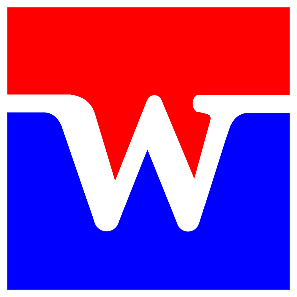 winvis logo